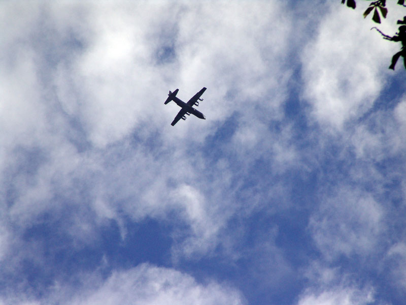 DSC75594Hercules